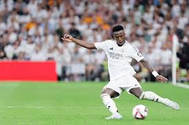 武汉的樱花 武汉的樱花